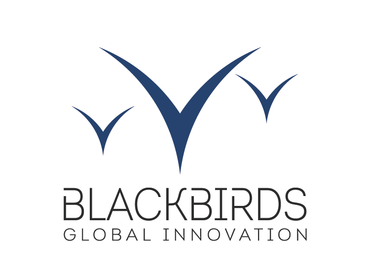 Blackbirds Infotech - Power to solve it